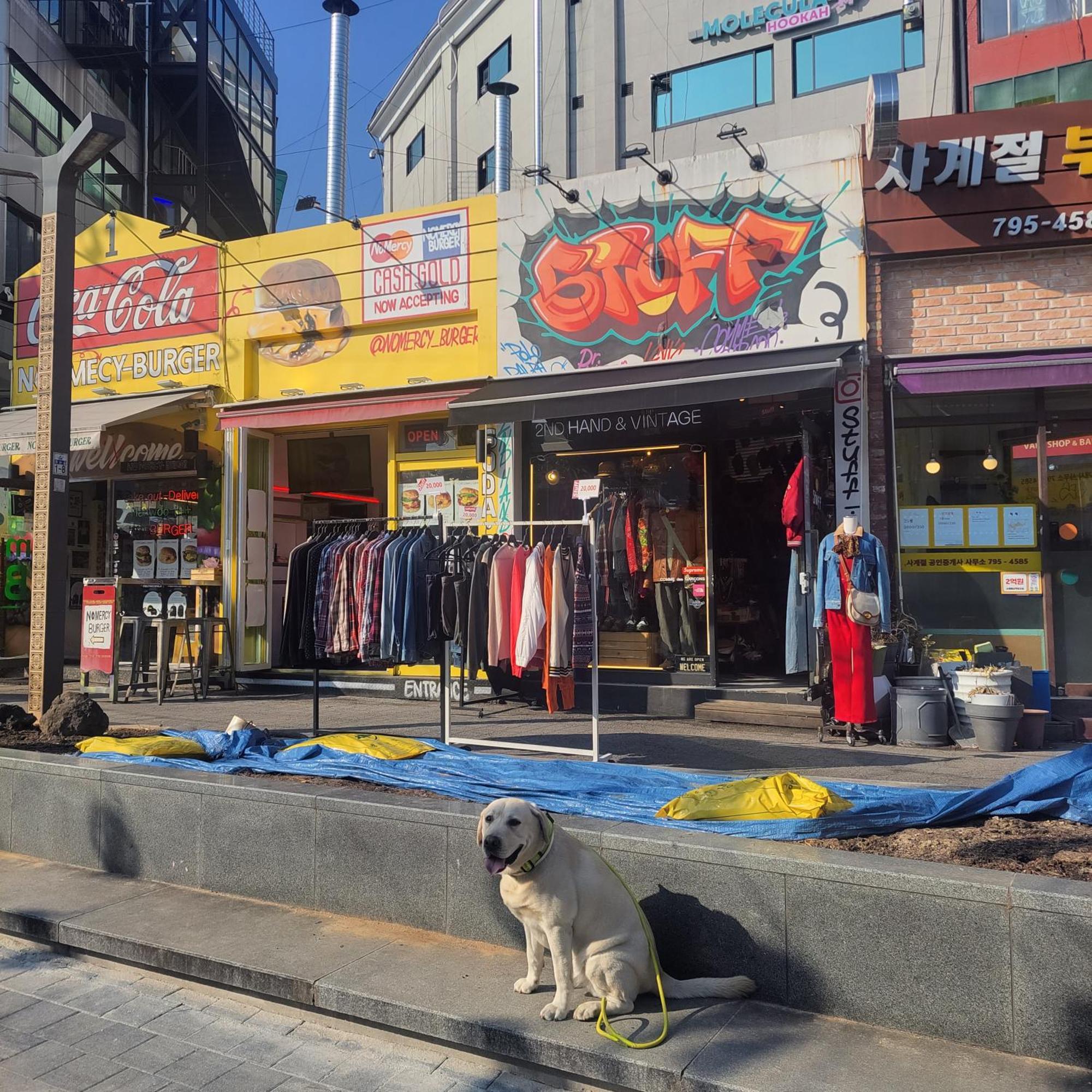 Newly Renovated Modern #11 Seoul